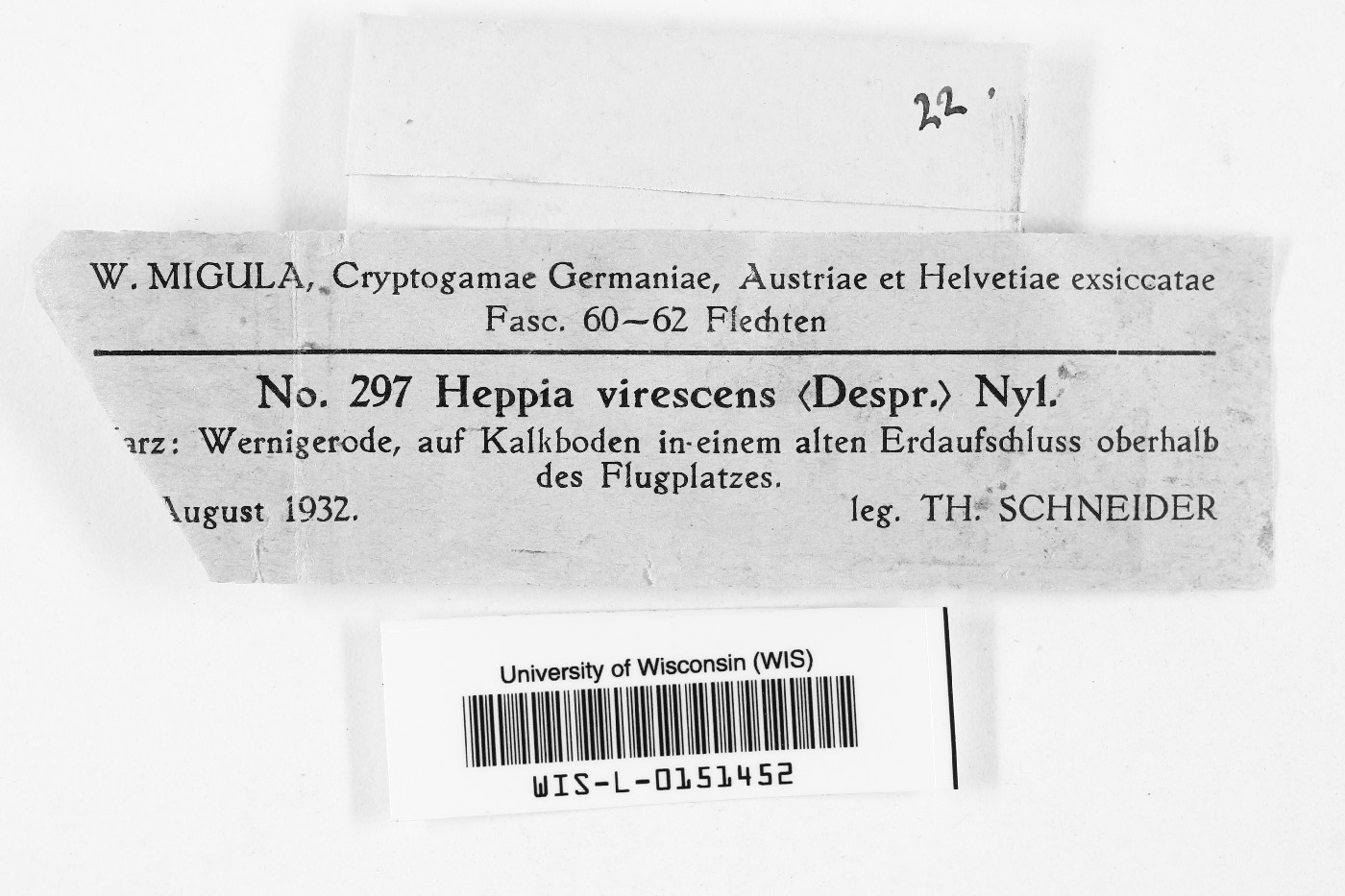 Heppia virescens image