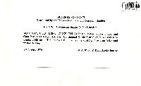 Xylographa vitiligo image