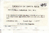 Canoparmelia caroliniana image