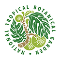 Icon associated with collection National Tropical Bo
